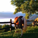 El Serron